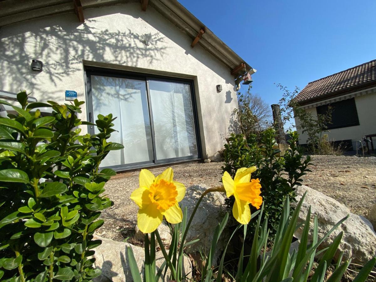 Cottage-Gite & Jacuzzi - Chez Flo & Marc シュジ・シュル・シゼ エクステリア 写真